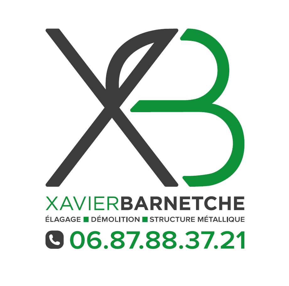 Sponsor XB Barnetche